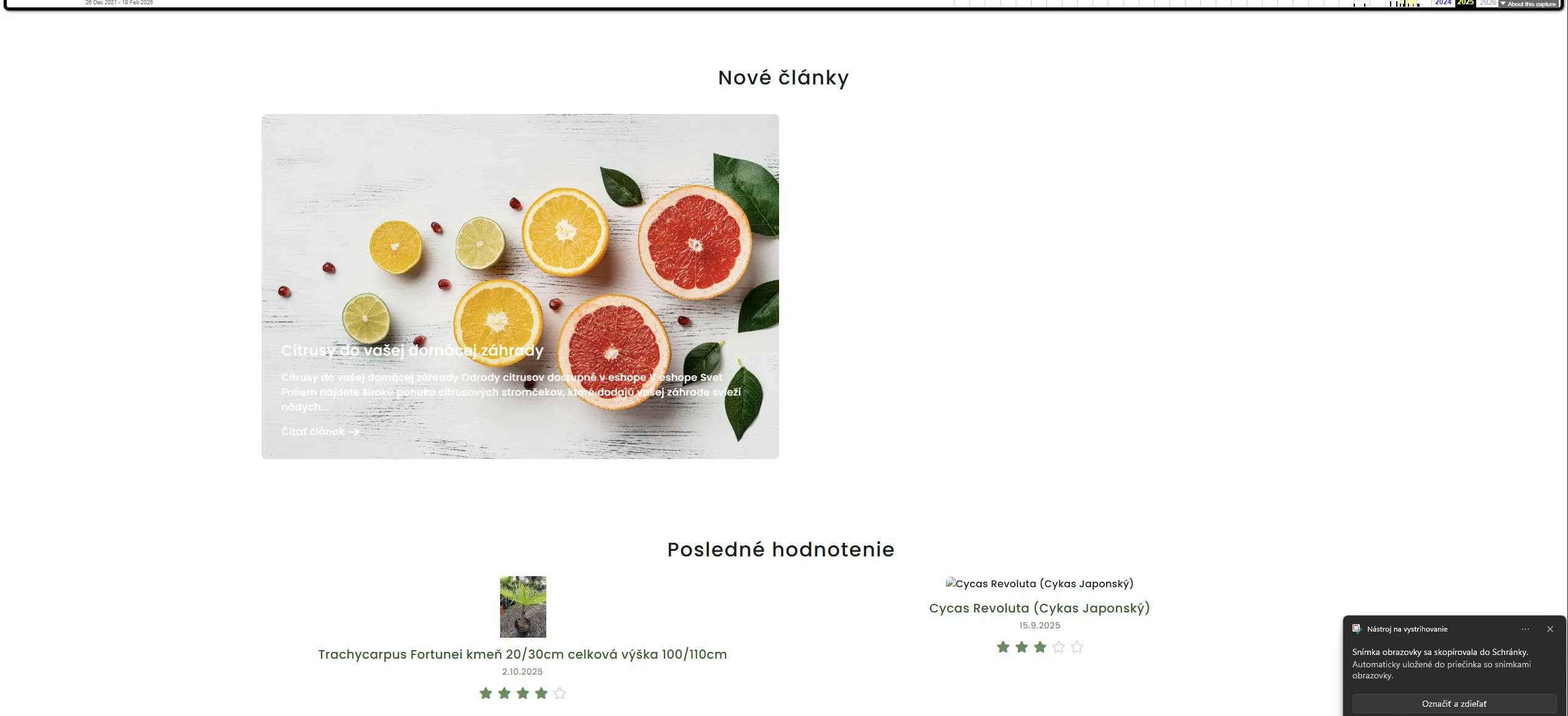 Pred: Blog a obsah